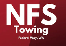 nfs-logo.jpg