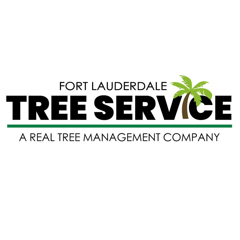 Fort Lauderdale Tree Service