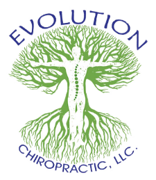 Evolution Chiropractic of Danbury