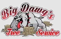 logo-Big-Dawgs-Tree-Service-and-Stumpgrinding-1.jpg