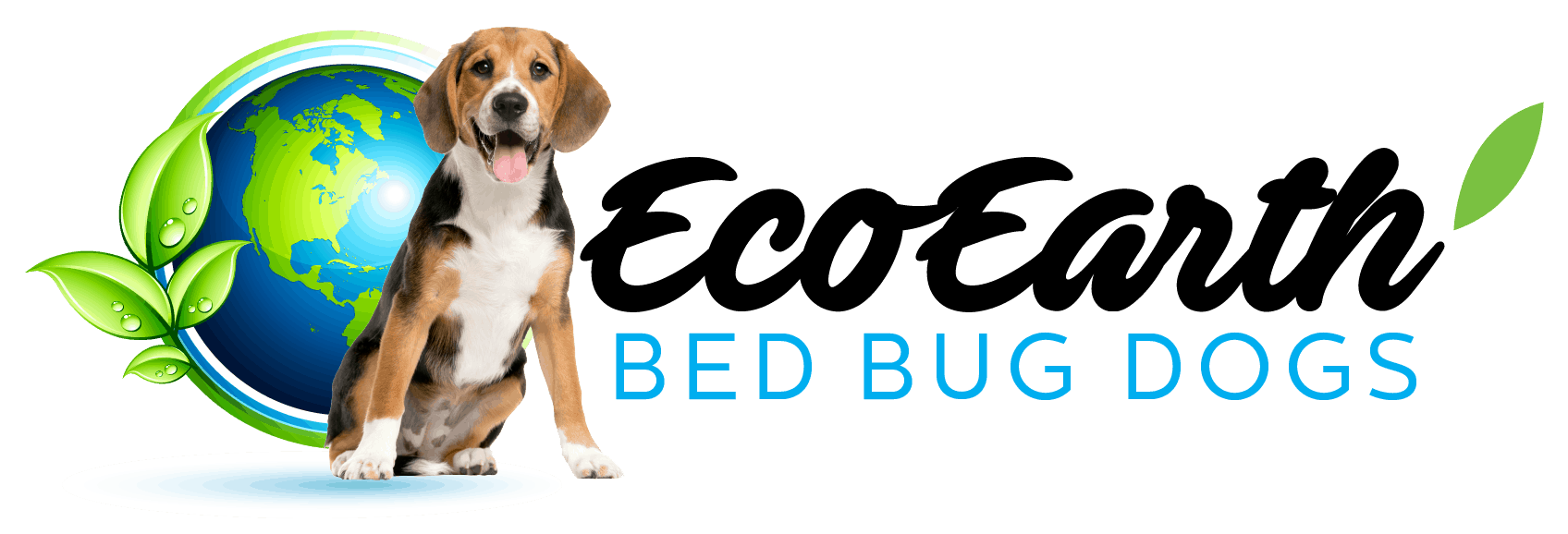 Eco-Earth-Bed-Bug-Dogs.png