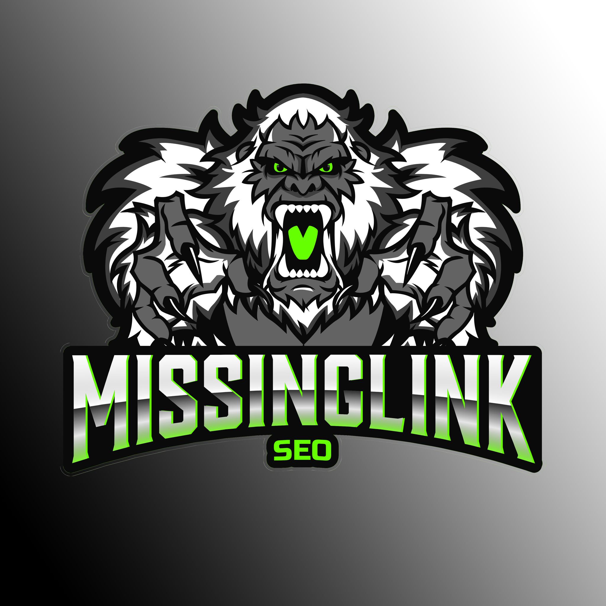 Missing Link SEO Services